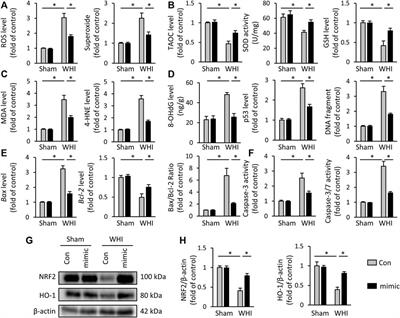 MicroRNA-223-3p Protect Against Radiation-Induced Cardiac Toxicity by Alleviating Myocardial Oxidative Stress and Programmed Cell Death via Targeting the AMPK Pathway